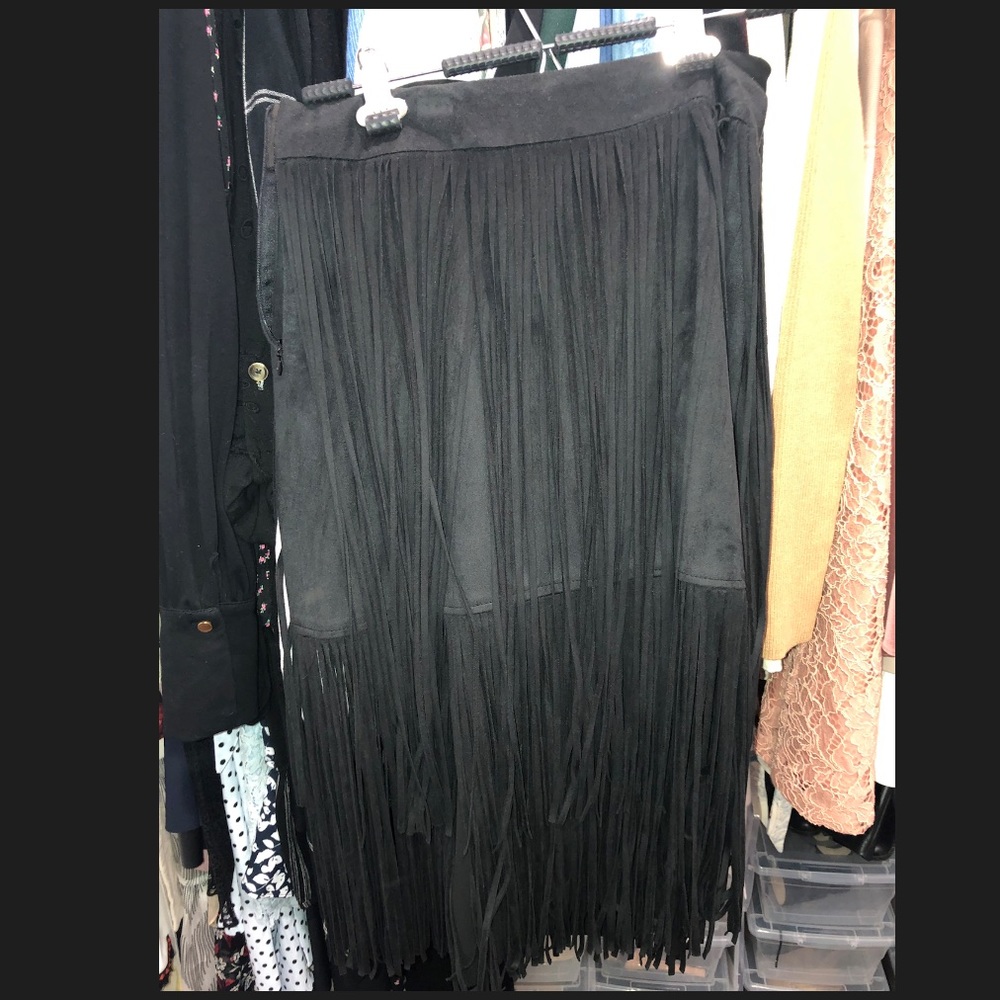 Zara fringe skirt